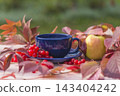Afternoon tea with berries outdoors; cup of tea, red berries, red autumn leaves on a table against blurred natural background 143404242