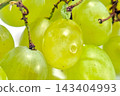 Fresh Green Grapes Cluster on Vine for Healthy Eating and Natural Fruit Photography 143404993