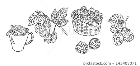 Raspberry botanical doodle set with flowering branches, leafy stems, woven basket, handled cup, and loose berries in a hand drawn illustration Raspberry botanical doodle set with flowering branches, leafy stems, woven basket, handled cup, and loose berries in a hand drawn illustration 143405071