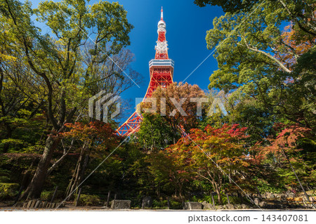 芝公園位於東京鐵塔腳下,園內楓樹成蔭的山谷和岩石地帶錯落有致。東京都港區。 芝公園位於東京鐵塔腳下,園內楓樹成蔭的山谷和岩石地帶錯落有致。東京都港區。 143407081