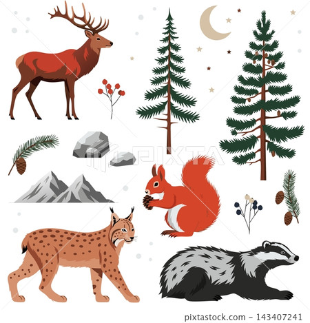 The image shows a vector collection of forest elements including a red deer, lynx, squirrel, badger, pine trees, and mountains The image shows a vector collection of forest elements including a red deer, lynx, squirrel, badger, pine trees, and mountains 143407241