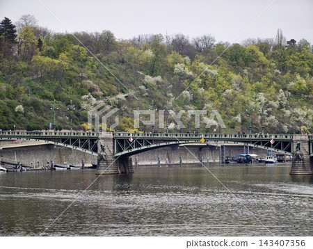 Serene waterfront with flowering trees. Tranquil bridge over water with blooming hillside and gentle sky 143407356