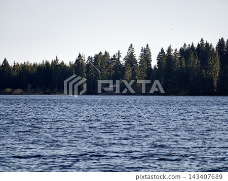 Peaceful waterscape scene. Gentle ripples on grassy shore leading to distant wooded lakeside scene 143407689