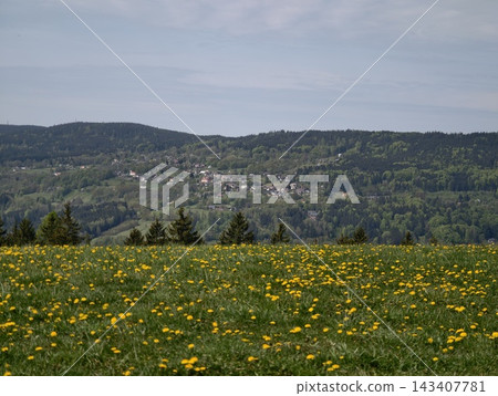Lush weedfilled field embracing distant settlement with rolling hills and charming rooftops Lush weedfilled field embracing distant settlement with rolling hills and charming rooftops 143407781