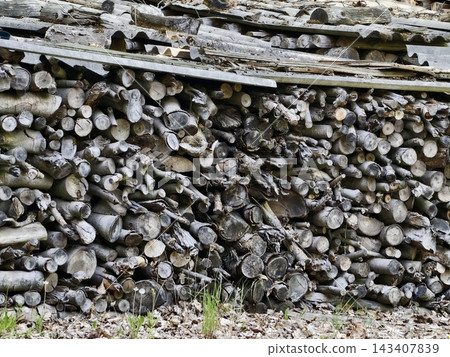 Wood pile scene. Weathered logs for winter fire. Country yard with stacked aged wooden logs Wood pile scene. Weathered logs for winter fire. Country yard with stacked aged wooden logs 143407839