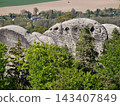 Cliff face adorned with moss and foliage. Layered rocky surface surrounded by lush plant life 143407849
