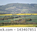 Expansive aerial perspective highlighting flowering fields and scenic agricultural terrain in spring 143407851