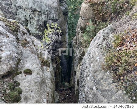 Narrow rocky crevasse between weathered boulders in forest canyon revealing mossy cliff faces and dense vegetation, with rock, crevasse, fissure, canyon detail, showing gorge, boulder, stone, moss 143407886