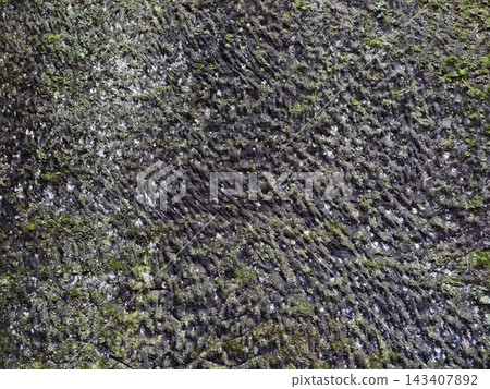 Close-up view of dark mossy rock surface showing dense green moss, wet texture, intricate patterns, and rugged organic detail across stone features and damp mineral substrate Close-up view of dark mossy rock surface showing dense green moss, wet texture, intricate patterns, and rugged organic detail across stone features and damp mineral substrate 143407892