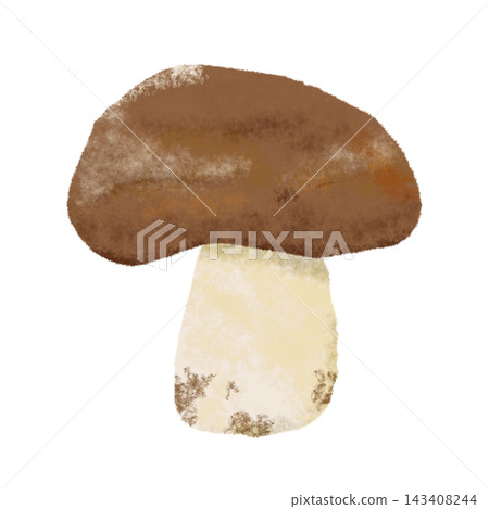 Watercolor illustration of shiitake mushrooms - an autumn ingredient 143408244