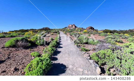 A Scenic Pathway That Winds Through Vibrant Flora Set Within a Beautiful Natural Landscape A Scenic Pathway That Winds Through Vibrant Flora Set Within a Beautiful Natural Landscape 143408286