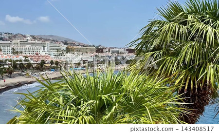 A stunning Tropical Beachfront View showcasing Palm Trees in a beautiful Coastal Setting A stunning Tropical Beachfront View showcasing Palm Trees in a beautiful Coastal Setting 143408517