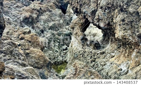 Explore the Unique Rock Formations and Tide Pools That Adorn the Coastal Shoreline Magnificently Explore the Unique Rock Formations and Tide Pools That Adorn the Coastal Shoreline Magnificently 143408537