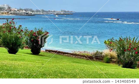 A Serene Coastal View featuring Lush Greenery and Bright Vibrant Flowers all around A Serene Coastal View featuring Lush Greenery and Bright Vibrant Flowers all around 143408549