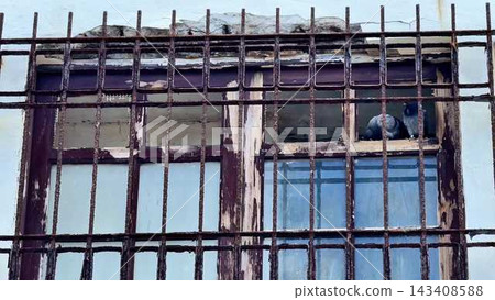 An Abandoned Window Stained with Grime and Surrounded by Metal Bars in a Forgotten Place An Abandoned Window Stained with Grime and Surrounded by Metal Bars in a Forgotten Place 143408588