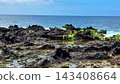 Stunning Rocky Coastal Landscape Showcasing Vibrant Greens and Expansive Ocean View 143408664