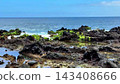 A Serene and Beautiful Coastal Landscape featuring a Rocky Shoreline alongside Clear Blue Waters 143408666