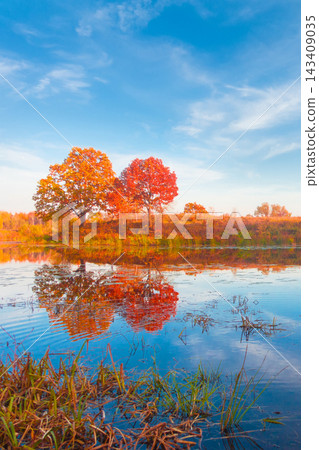 Autumn forest reflected in still lake 143409035