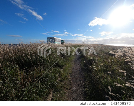 Notsuke Peninsula scenery Notsuke Peninsula scenery 143409573