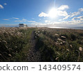 Notsuke Peninsula scenery 143409574