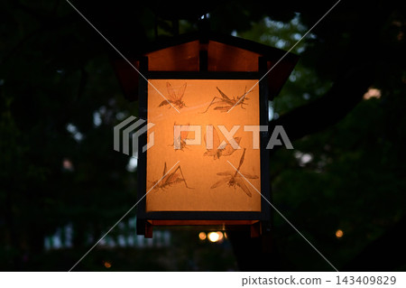Picture lanterns at Mukojima Hyakkaen Garden Picture lanterns at Mukojima Hyakkaen Garden 143409829