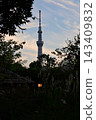 Tokyo Skytree and lanterns at Mukojima Hyakkaen Garden. 143409832