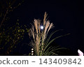 A hazy moon and pampas grass at Mukojima Hyakkaen Garden. 143409842