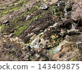 River flowing between rocks 143409875