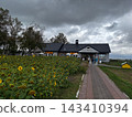 Sunflower field and store exterior at Lake Hill Farm 143410394