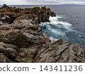 Scenery of Jogasaki coast 143411236