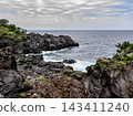 Scenery of Jogasaki coast 143411240