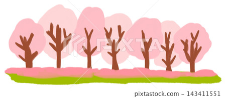 櫻花樹的風景 櫻花樹的風景 143411551