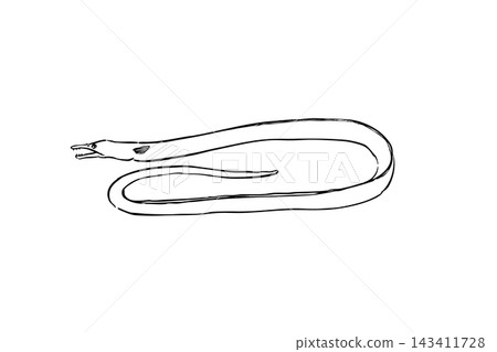 Hand-drawn line art of a large sea snake using a brush pen. Hand-drawn line art of a large sea snake using a brush pen. 143411728