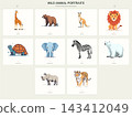 Wild Animal Illustrations with Giraffe Lion Elephant and Tiger 143412049