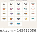 Colorful Butterflies and Dragonflies Illustration Collection 143412056