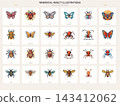 Whimsical Butterflies Beetles Bees and Ant Illustration Set 143412062