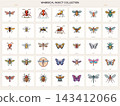 Whimsical Winged Insects Beetles and Garden Bug Collection 143412066
