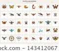 Playful Bug Buddies with Bees Butterflies and Crawlers 143412067