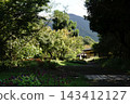 森林中的花園和涼亭，以及福地山。 143412127