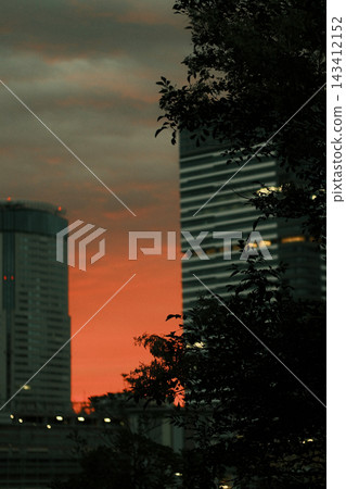 橙色的夕陽灑在樓宇和樹木之間。 橙色的夕陽灑在樓宇和樹木之間。 143412152