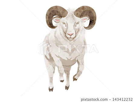Sheep illustration 38 Sheep illustration 38 143412232