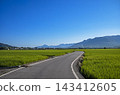 winding road through lush rice fields  143412605