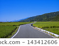 winding road through lush rice fields  143412606