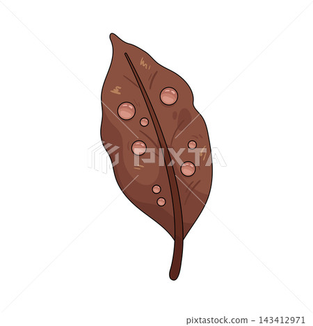 Illustration of dry leaf with water droplets Illustration of dry leaf with water droplets 143412971