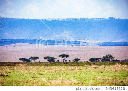 Kenya Photographers By Antony Trivet Photography Kenya Photographers By Antony Trivet Photography 143413620