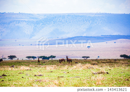 Kenya Photographers By Antony Trivet Photography Kenya Photographers By Antony Trivet Photography 143413621