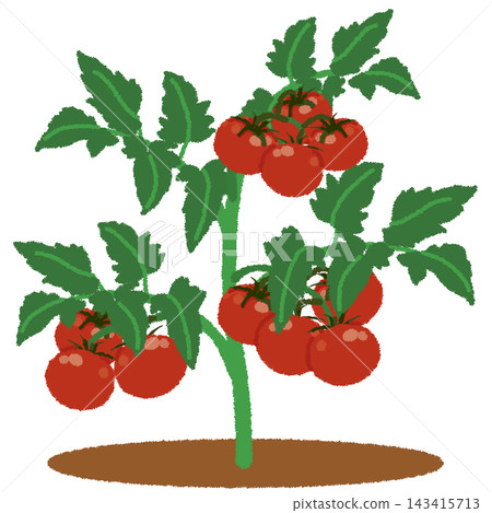 Illustrations of a home garden 143415713