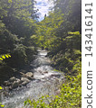 河在森林裡 143416141