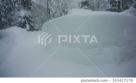 高聳的雪牆和被雪覆蓋的樹木 143417174