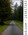 Winding road cuts through dense forest 143417243